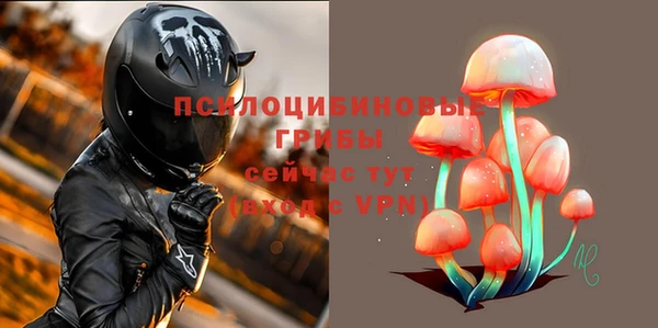 mdpv Инта
