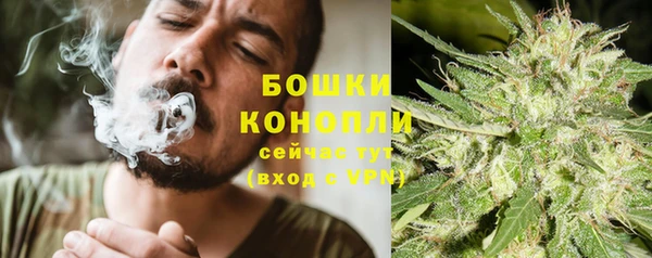 дмт Заводоуковск