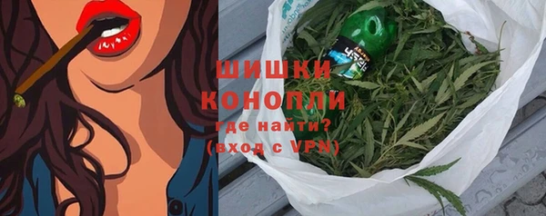 дмт Заводоуковск