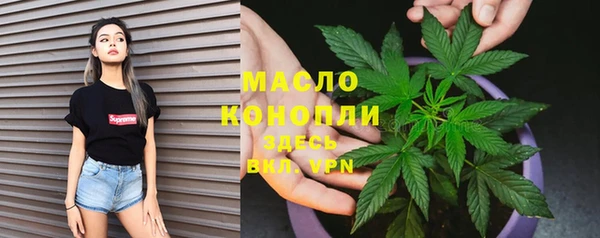 дмт Заводоуковск